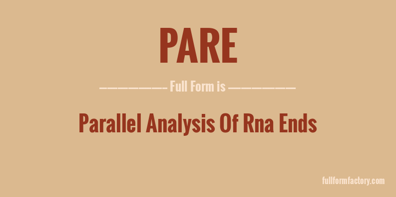 pare-full-form