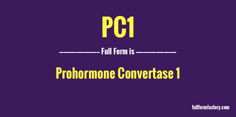 pc1-full-form