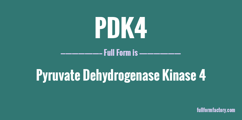 pdk4-full-form