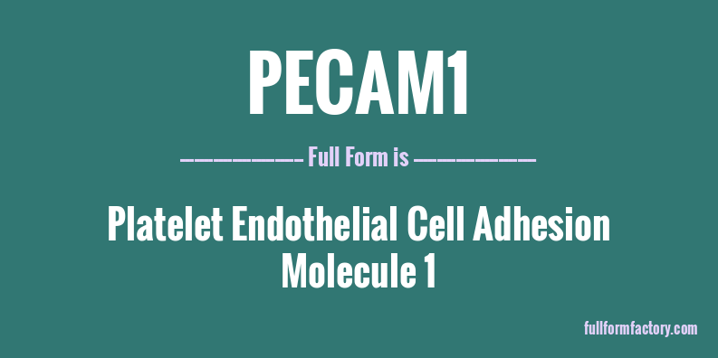 pecam1-full-form