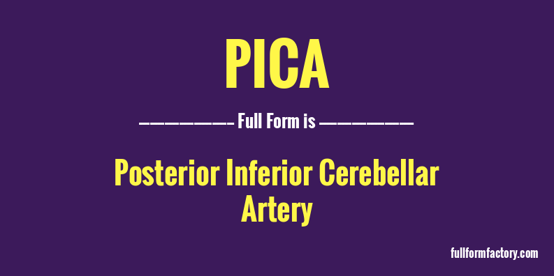 pica-full-form