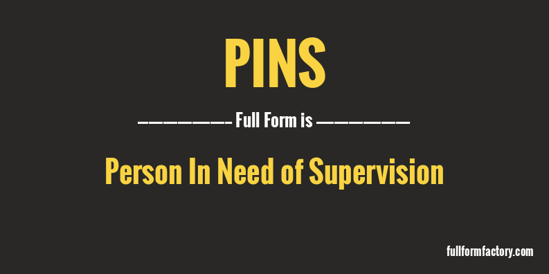 pins-full-form