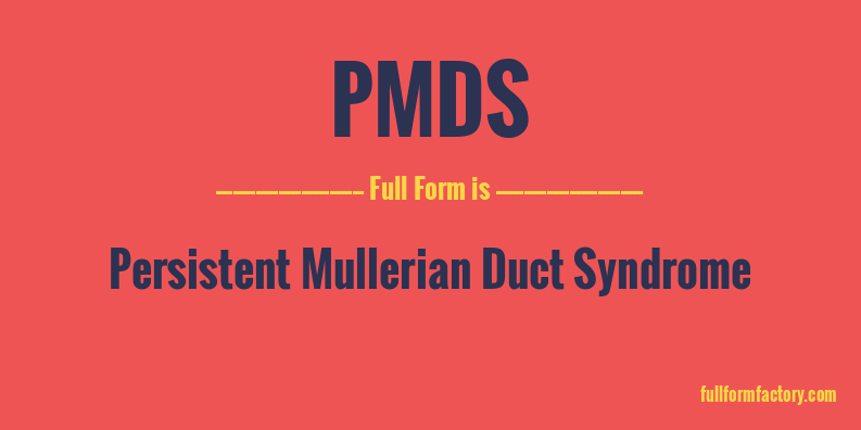 pmds-full-form