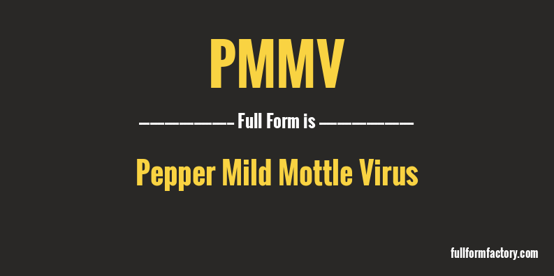 pmmv-full-form