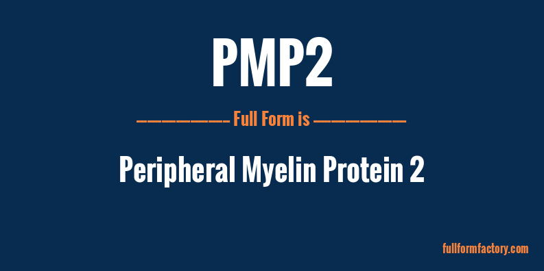 pmp2-full-form