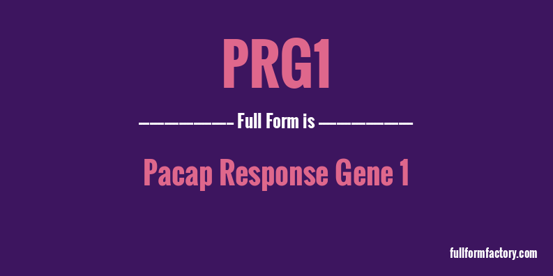 prg1-full-form