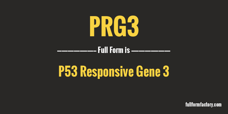 prg3-full-form