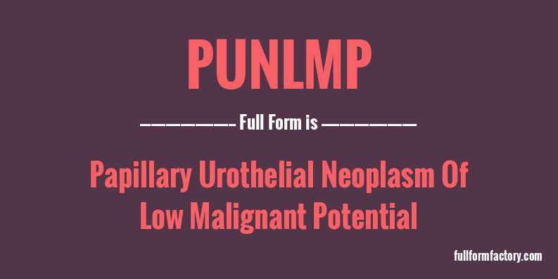punlmp-full-form