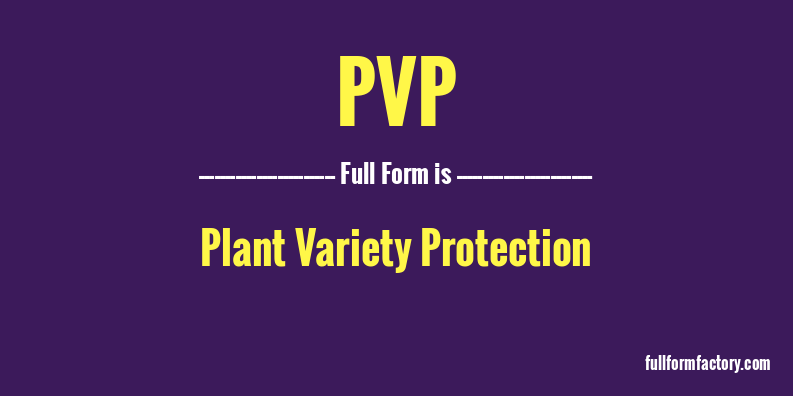 pvp-full-form
