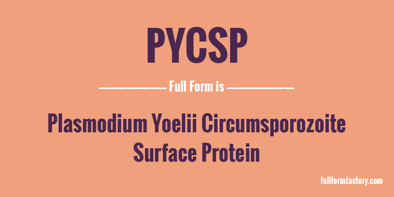 pycsp-full-form