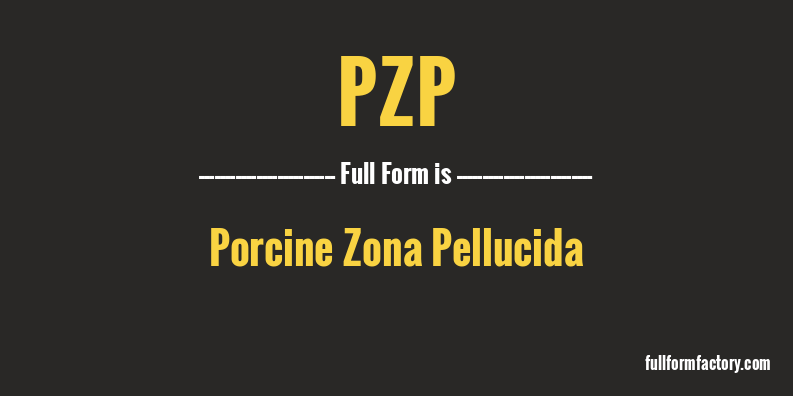 pzp-full-form