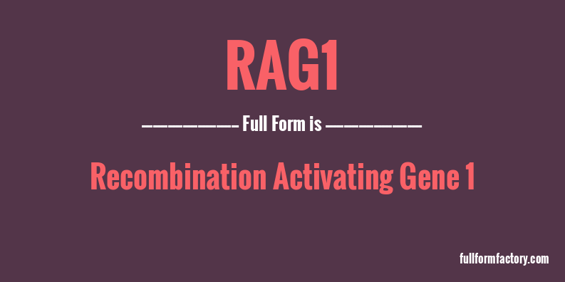 rag1-full-form