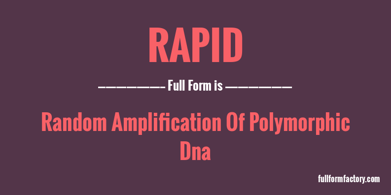 rapid-abbreviation-meaning-fullform-factory