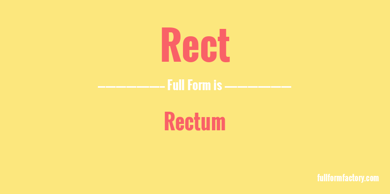 rect-full-form