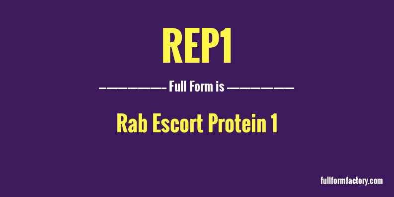 rep1-full-form
