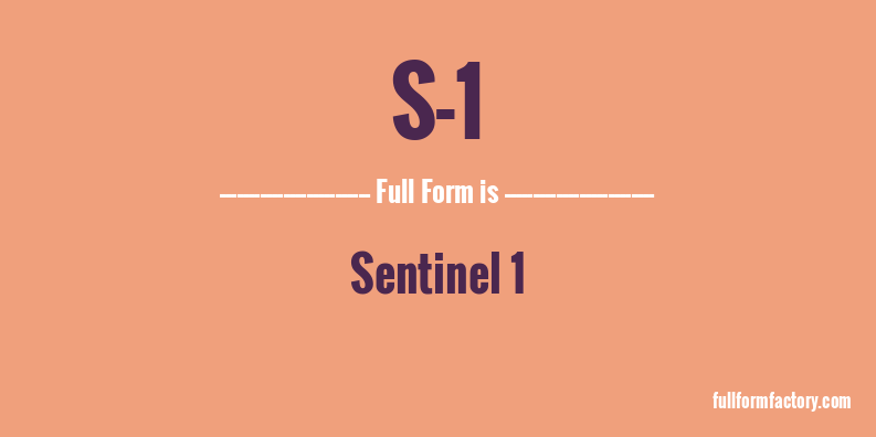s-1-full-form