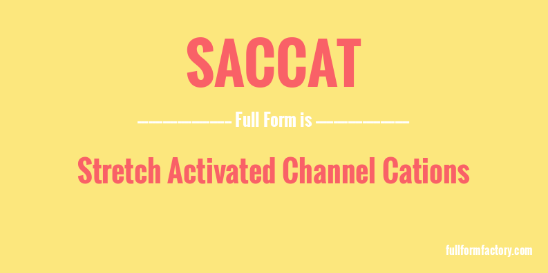 saccat-full-form