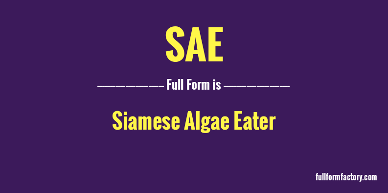 sae-full-form
