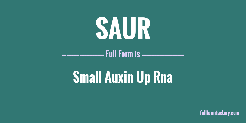 saur-full-form