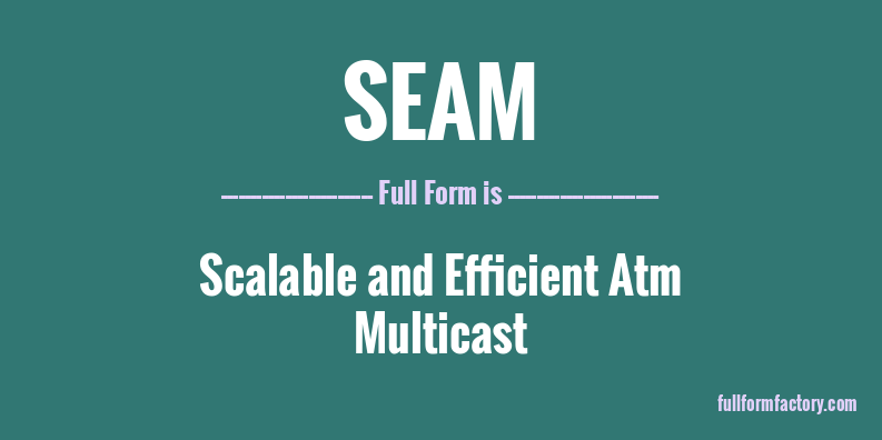 seam-full-form