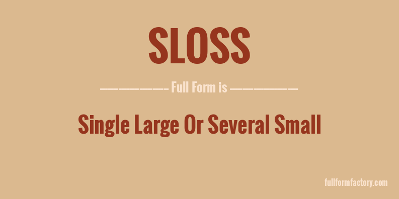 sloss-full-form
