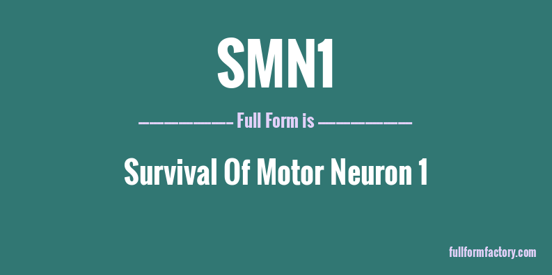 smn1-full-form