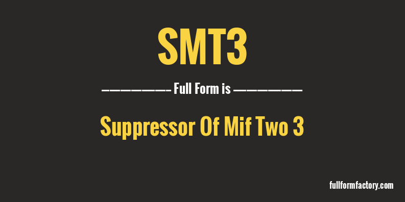 smt3-full-form