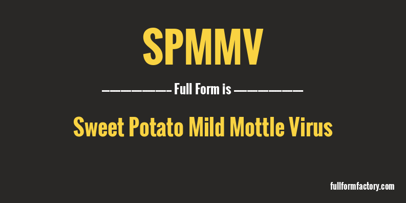 spmmv-full-form