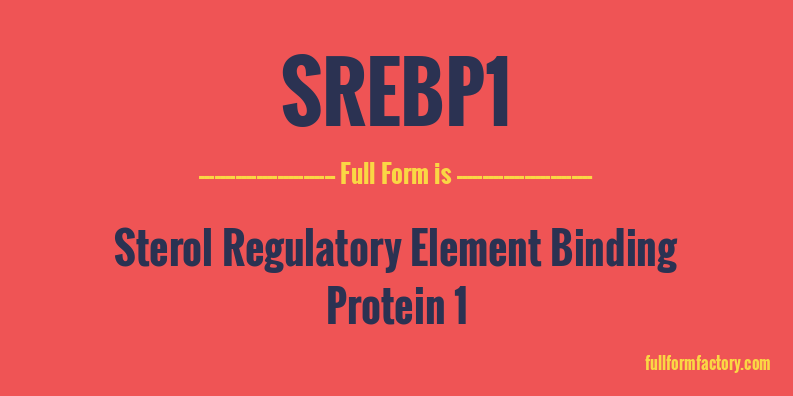 srebp1-full-form