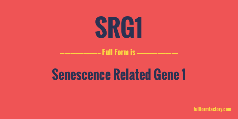 srg1-full-form