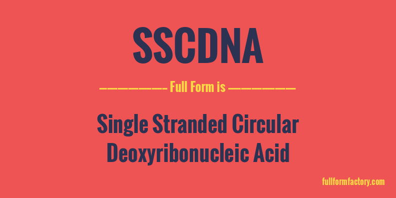 sscdna-full-form