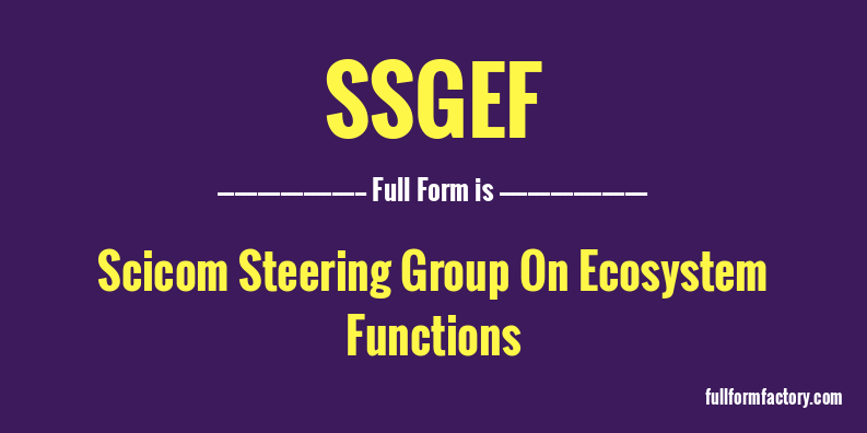 ssgef-full-form