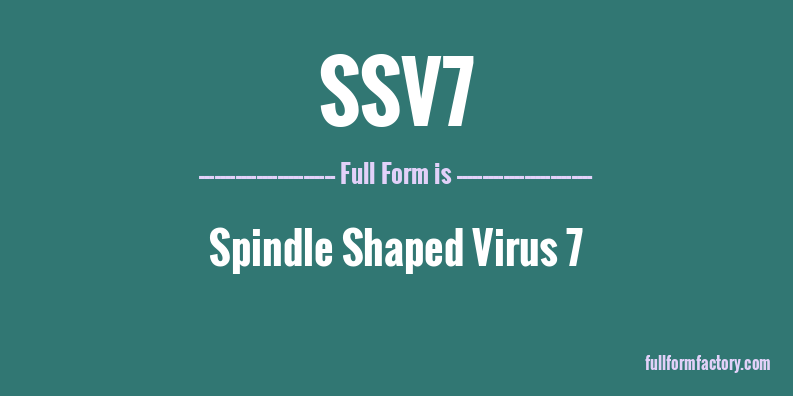 ssv7-full-form