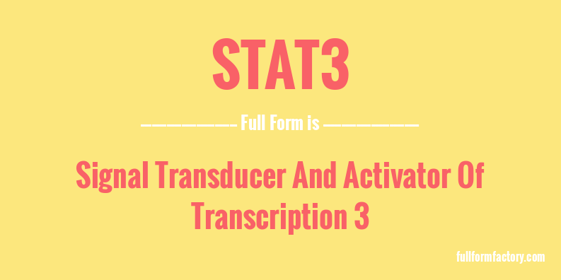 stat3-full-form