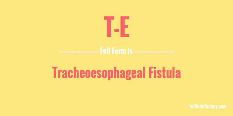 T E Abbreviation Meaning FullForm Factory