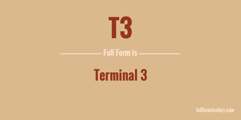 t3-full-form