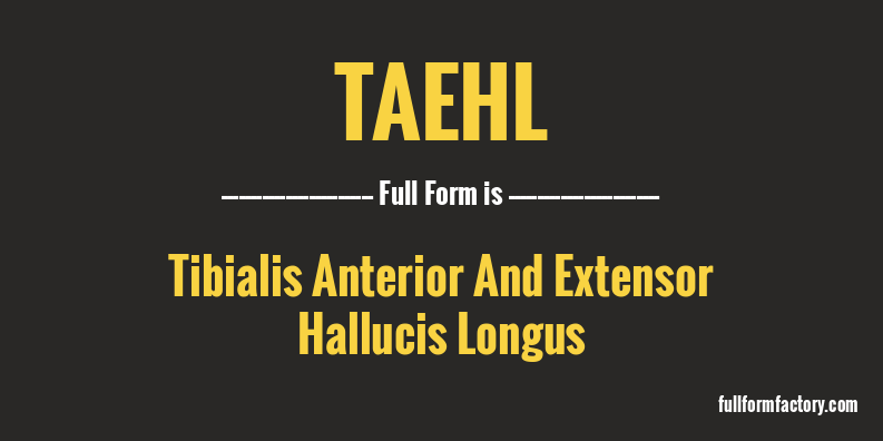 taehl-full-form
