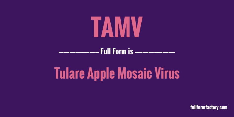 tamv-full-form