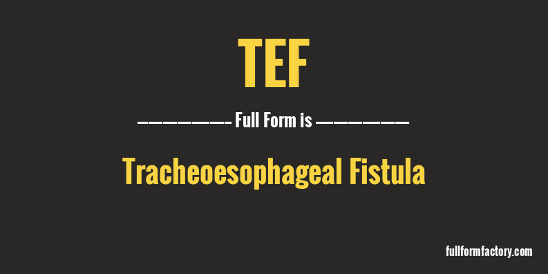 tef-full-form