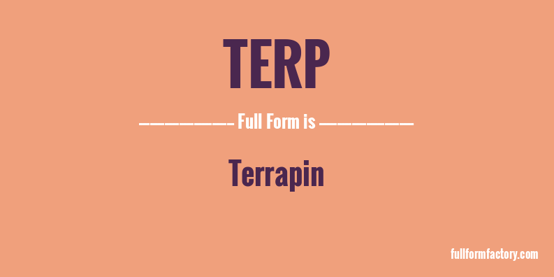 terp-full-form