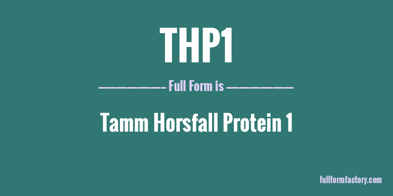 thp1-full-form