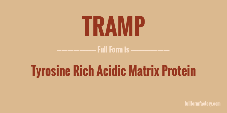 tramp-full-form