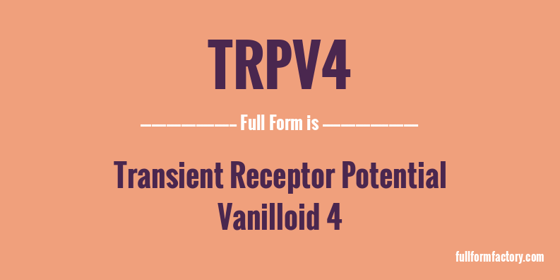 trpv4-full-form