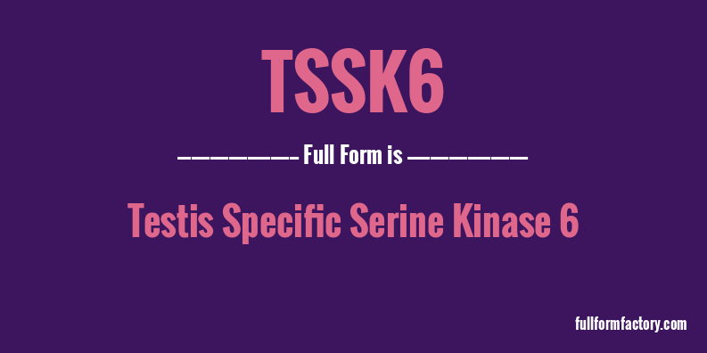 tssk6-full-form