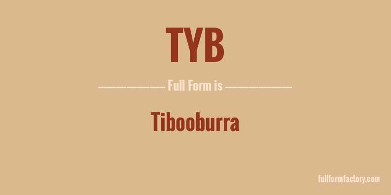 tyb-full-form