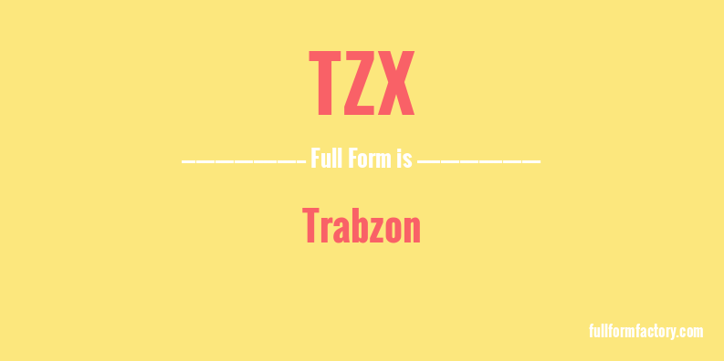 tzx-full-form