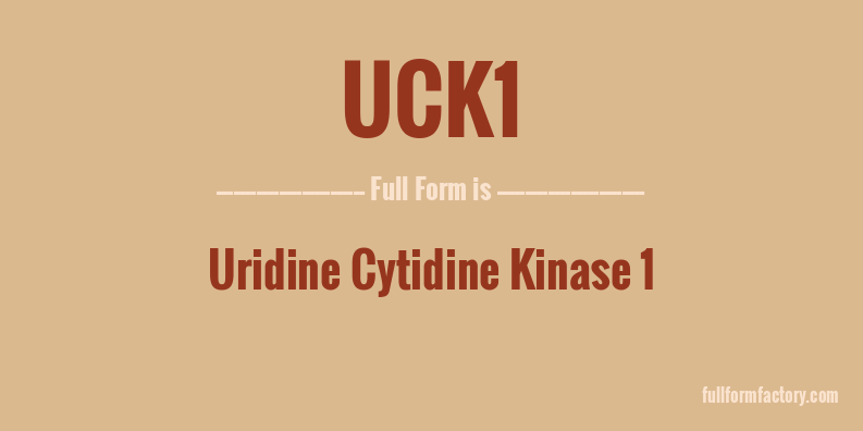uck1-full-form