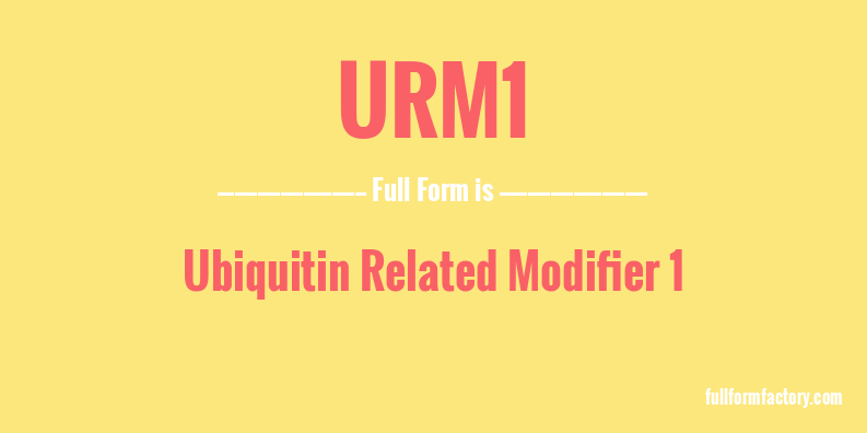 urm1-full-form