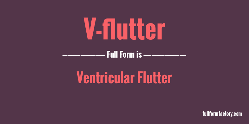 v-flutter-full-form