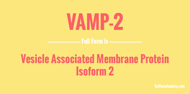 vamp-2-full-form